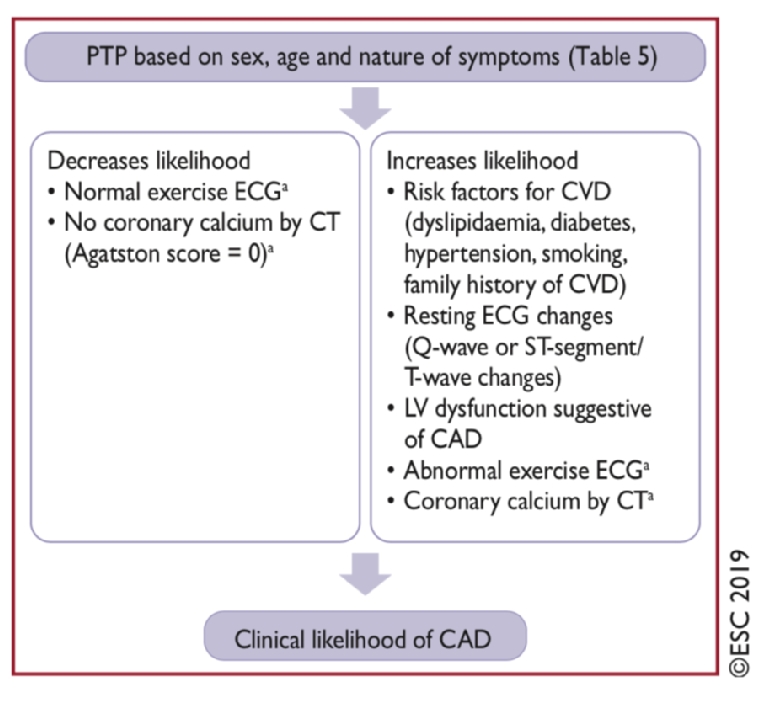 Commentary on the new ESC Guidelines on Chronic Coronary Syndromes